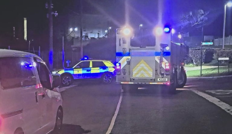 Fatal road traffic collision in St. David’s